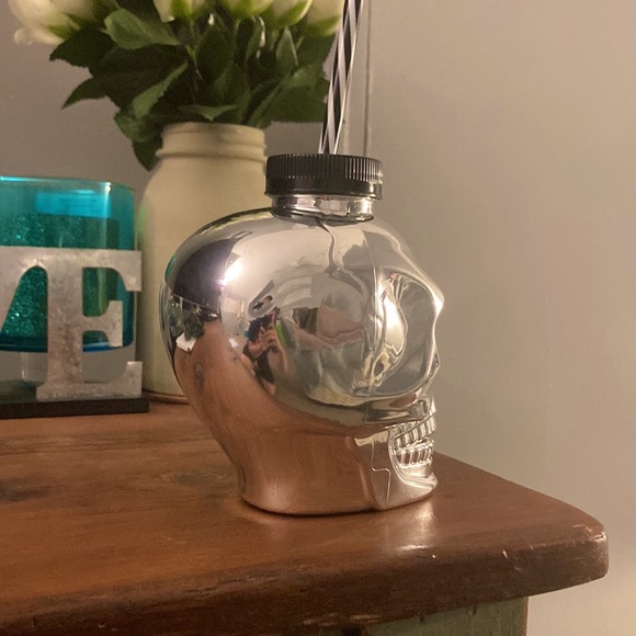 Brand NWT Metallic Silver Skull Shaped Plastic Canteen Tumbler -Lid & Straw - Picture 2 of 6